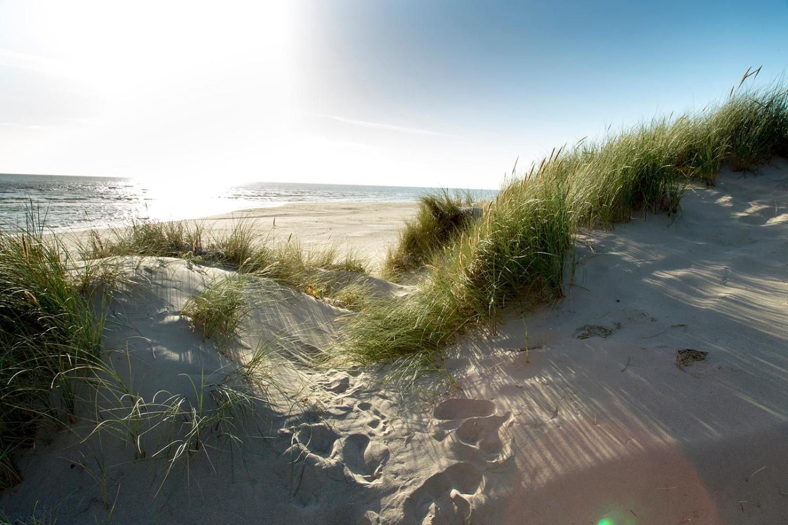 Llanddwywe Barmouth Bay Holiday Park מראה חיצוני תמונה